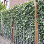 Tuinafscheidingen-Kraaij-tuinonderhoud-150x150