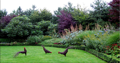 tuintips-kraaij-september-384-x-202