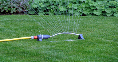 tuintips-kraaij-juni-384-x-202