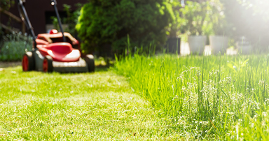 tuintips-kraaij-gazon-maaien-november-384-x-202