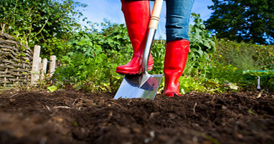 tuintips-kraai-tuin-bemesten-april-384-x-202