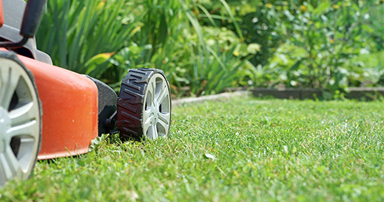 tuintips-kraaij-gazononderhoud-april-384-x-202