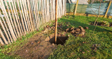 tuintips-kraaij-planten-van-fruitbomen-oktober-384-x-202