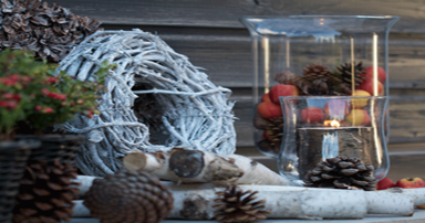 tuintips-kraaij-wintertuin-december-384-x202