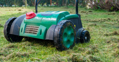 tuintips-kraaij-gazon-onderhouden-juni-384-x-202