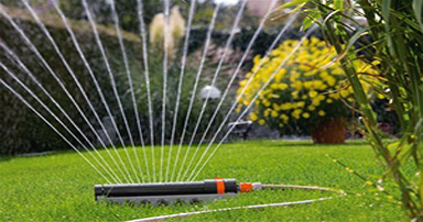 tuintips-kraaij-planten-sproeien-in-juni-384-x-202