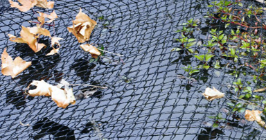 tuintips-kraaij-plastic-net-over-vijver-september-384-x-202